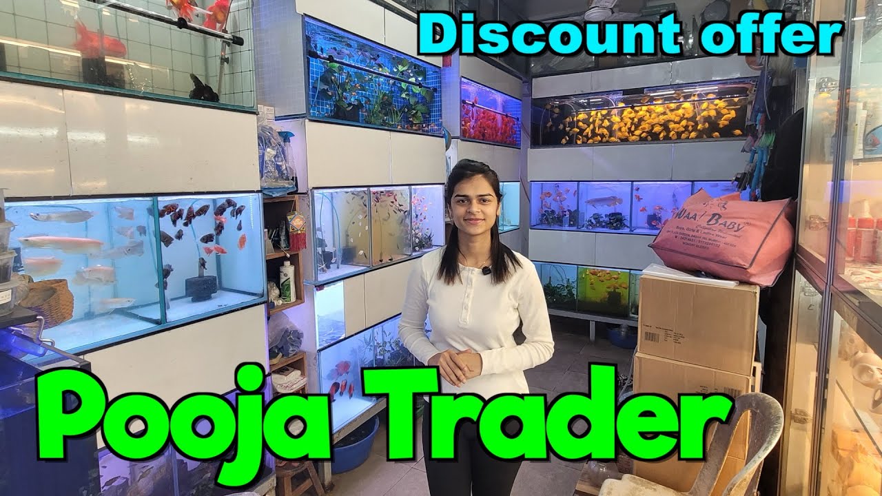 Discount in Pooja Trader I Delivery Available All Over India