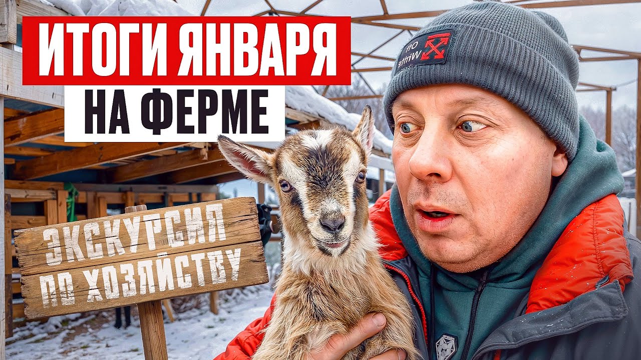 УМ ЗА РАЗУМ ЗАШЁЛ! КАТАСТРОФИЧЕСКИ не хватает места. Что мы НАДЕЛАЛИ в сарае за январь? 😅📈