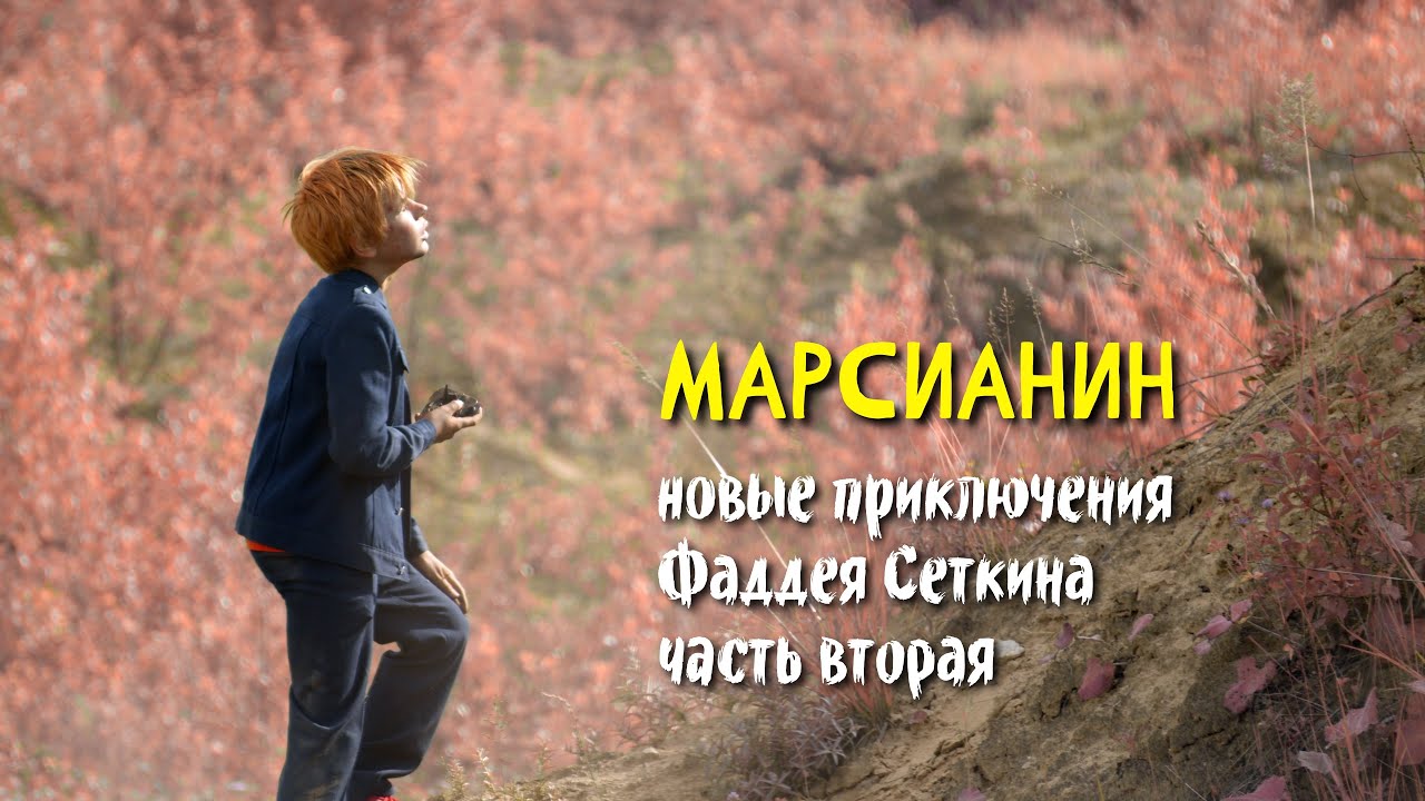 Марсианин, или новые приключения Фаддея Сеткина (история вторая)