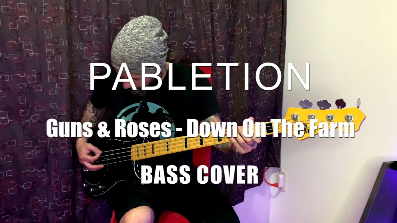Guns And Roses down on the farm bass cover