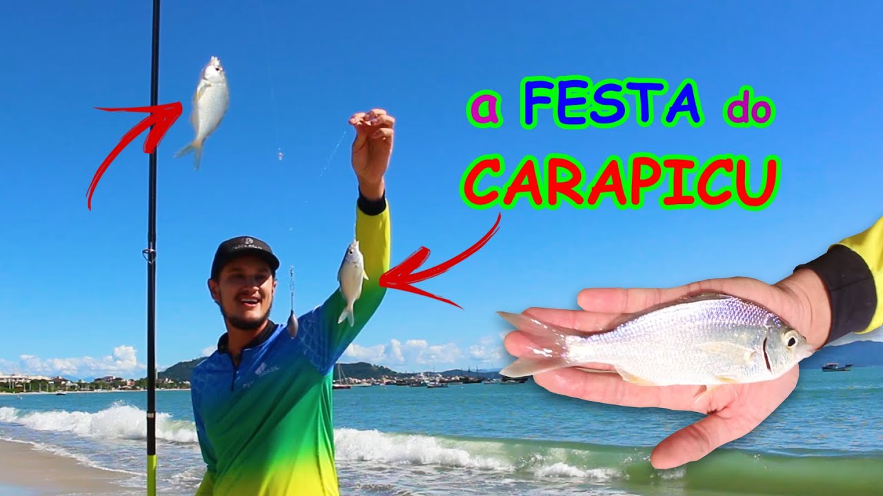 a FESTA do CARAPICU - pescaria de beira e meia água