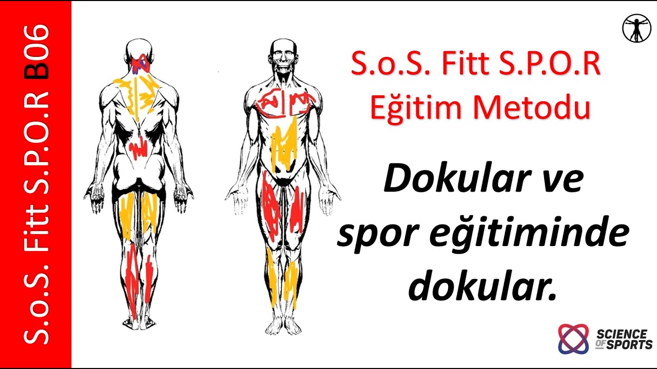 Dokular, bağ dokusu. Çocuk ve yetişkin sporunda dokuların yeri ve önemi. S.o.S. Fitt S.P.O.R. B06