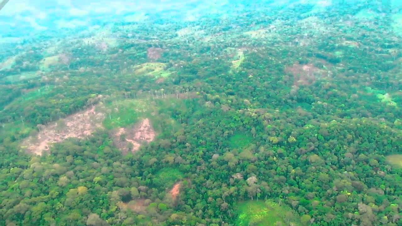 Sobrevolando Indio-Maíz