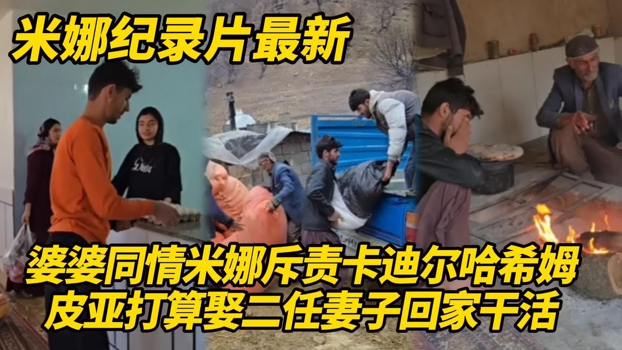 婆婆同情米娜卖农场！斥责卡迪尔跟哈希姆同流合污，皮亚打算娶二任妻子，老婆不能共患难！#纪录片 #伊朗游牧民生活