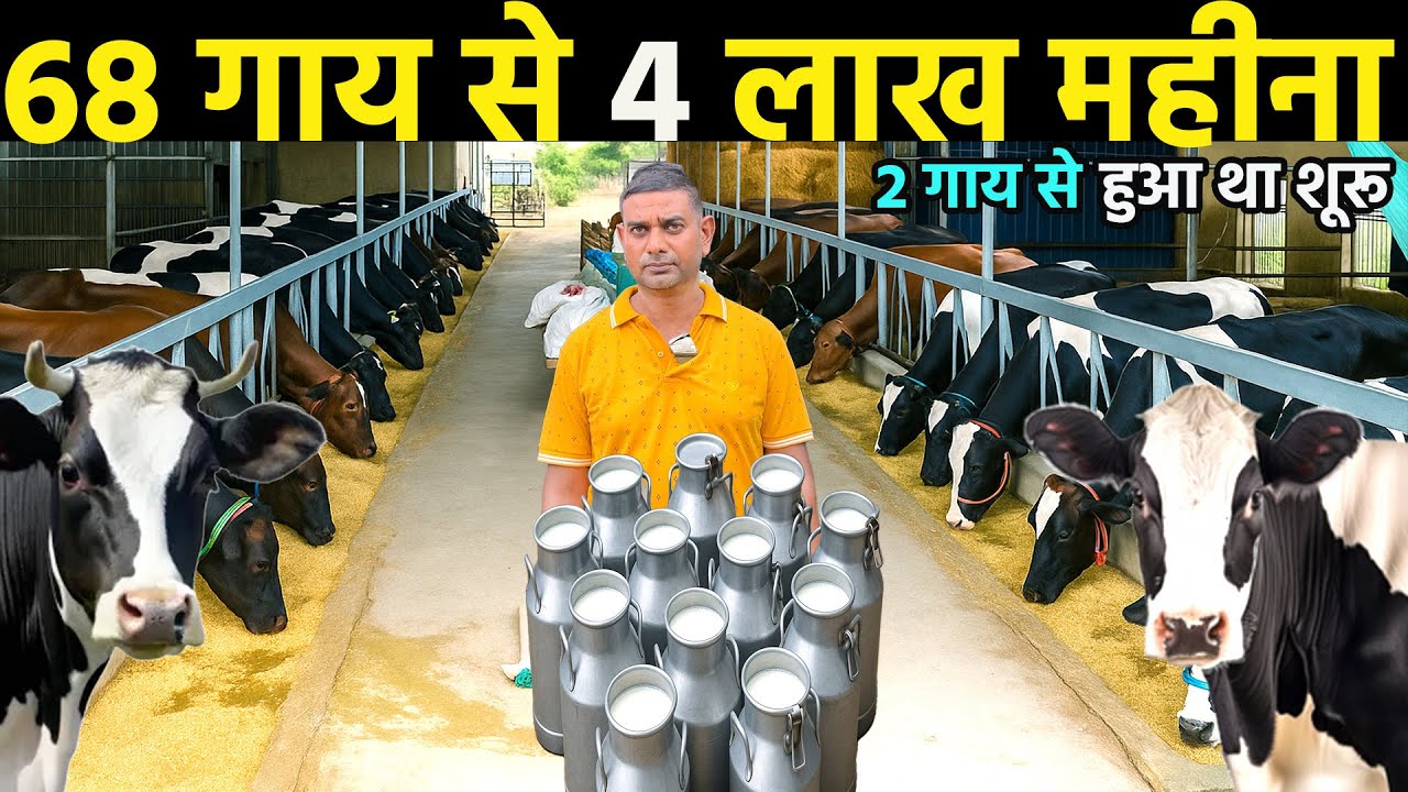 Small dairy farm business plan॥Dairy farming business plan॥dairy farming