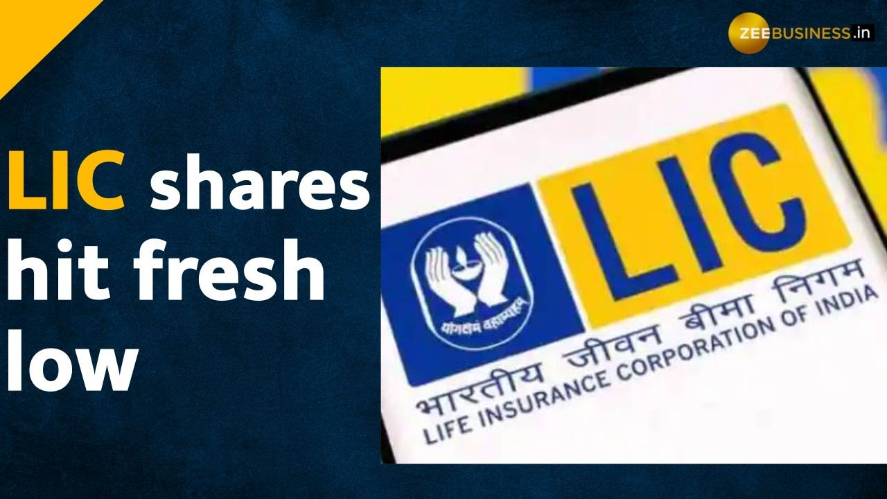 LIC Shares dropped to 24% over issue price, what should investors do? | Zee Business