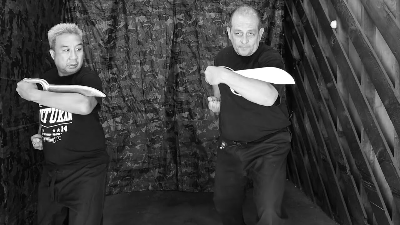 Te-Kempo-Jiujitsu, Sensei Mike Pecina,  Butterfly Swords