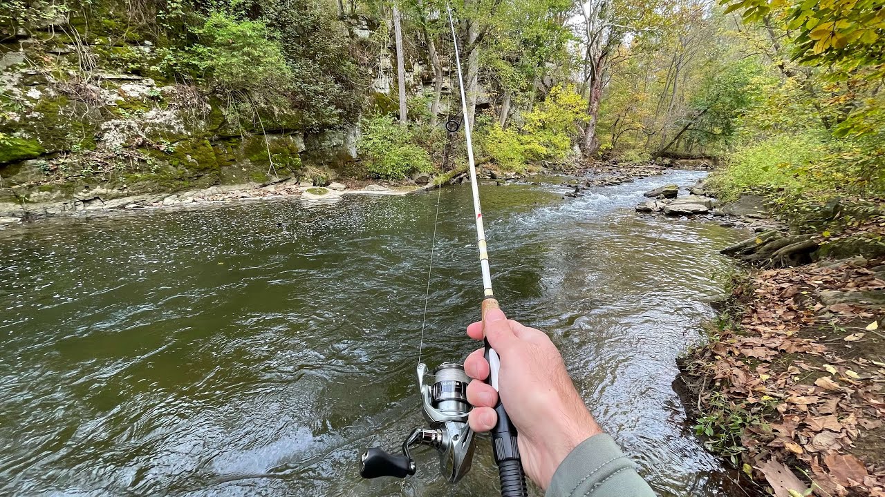 TROUT FISHING with Spinners