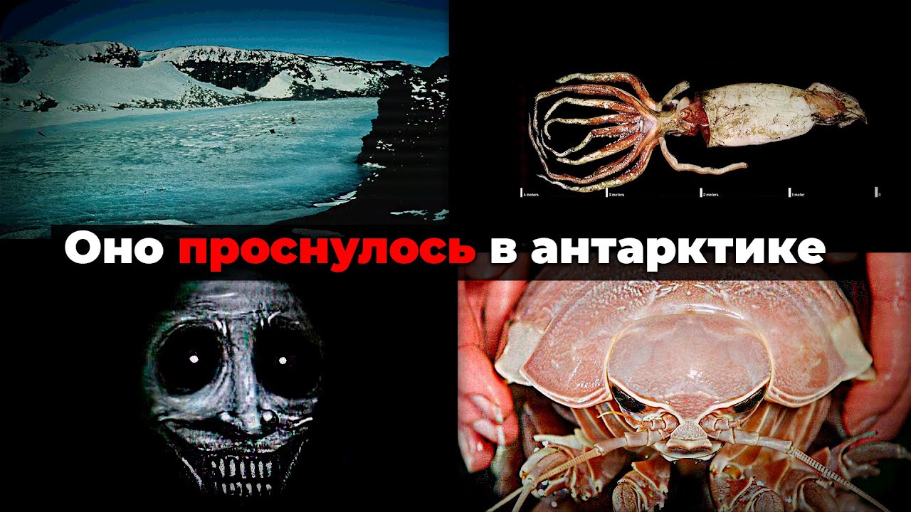 УЖАСНАЯ АНТАРКТИДА