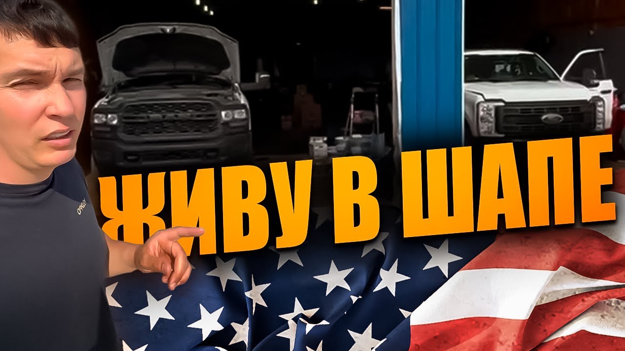 Сисун теперь живёт в ШАПе? 😮 