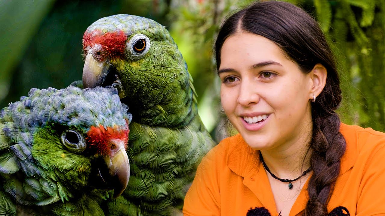 The Fight to Save Costa Rica’s Vulnerable Wildlife | The Great Projects
