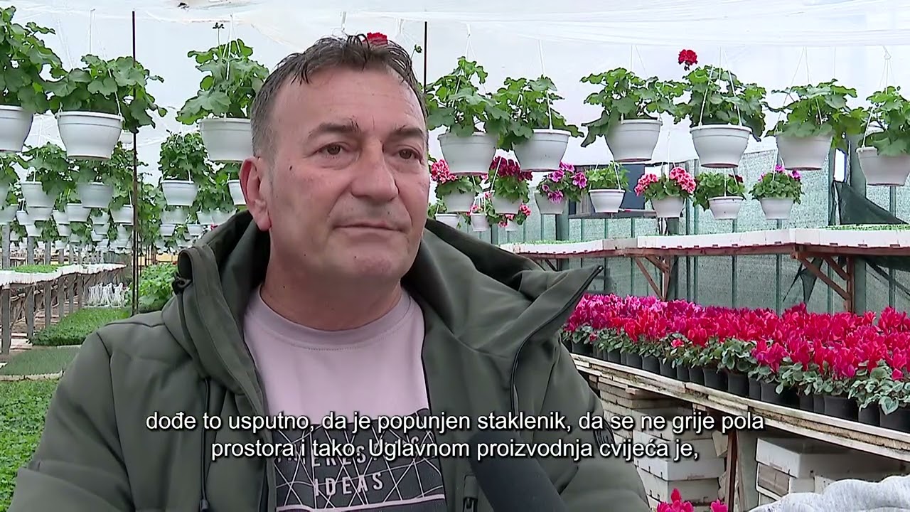 PLASTENICI FIRME BILDO COMPANY MIRIŠU NA OSMOMARTOVSKO CVIJEĆE