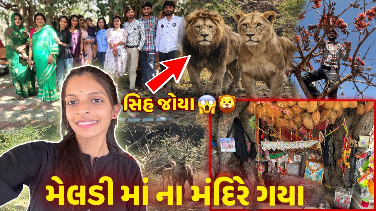 મેલડી માં ના મંદિરે ગયા 🙏🏻 | સિહ જોયા 😱🦁 |Meldi Maa Na Mandire Gaya | Sih Joya | Gujrati Vlogs 