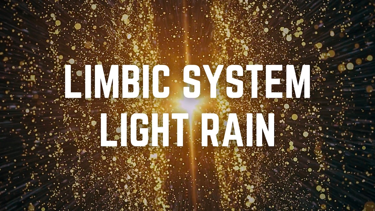 LIMBIC SYSTEM LIGHT RAIN | 12 Hours | Black Screen | No Midway Ads | Sleep/ Calm Anxiety/ Focus