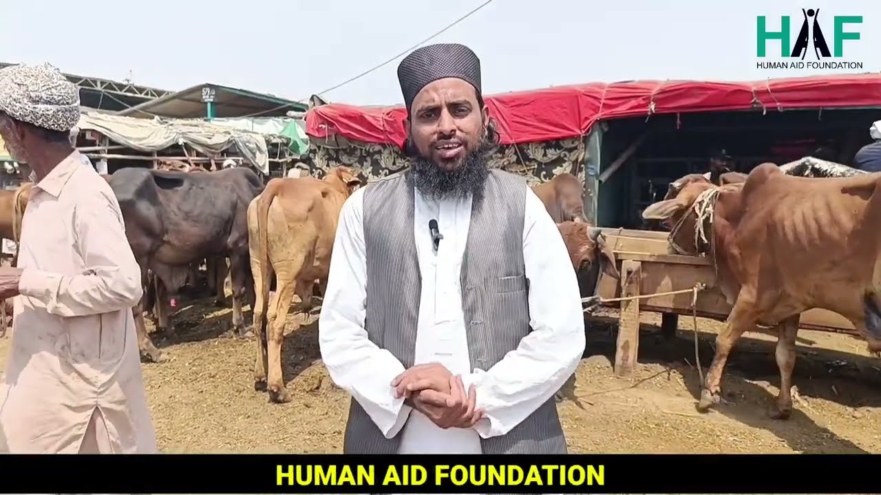 𝗔𝗡𝗜𝗠𝗔𝗟 𝗠𝗔𝗥𝗞𝗘𝗧 & 𝗤𝗨𝗥𝗕𝗔𝗡𝗜 𝟮𝟬𝟮𝟰