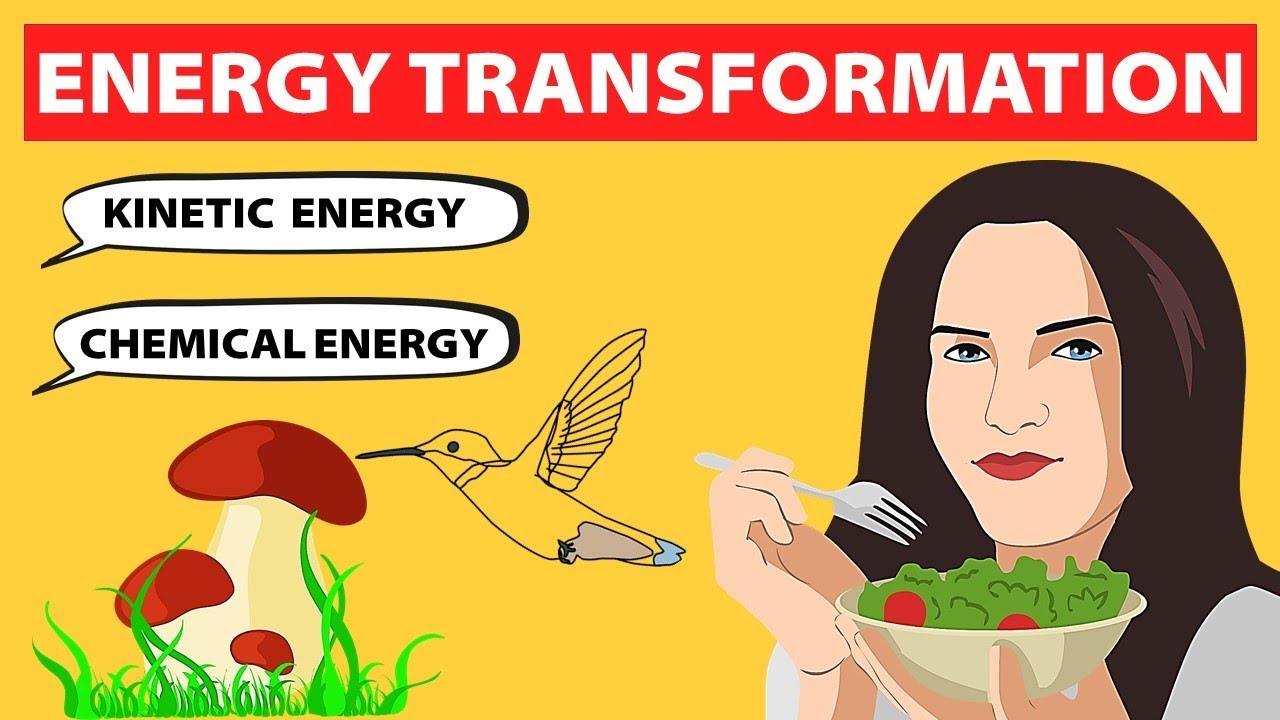 Energy Transformations | Physics