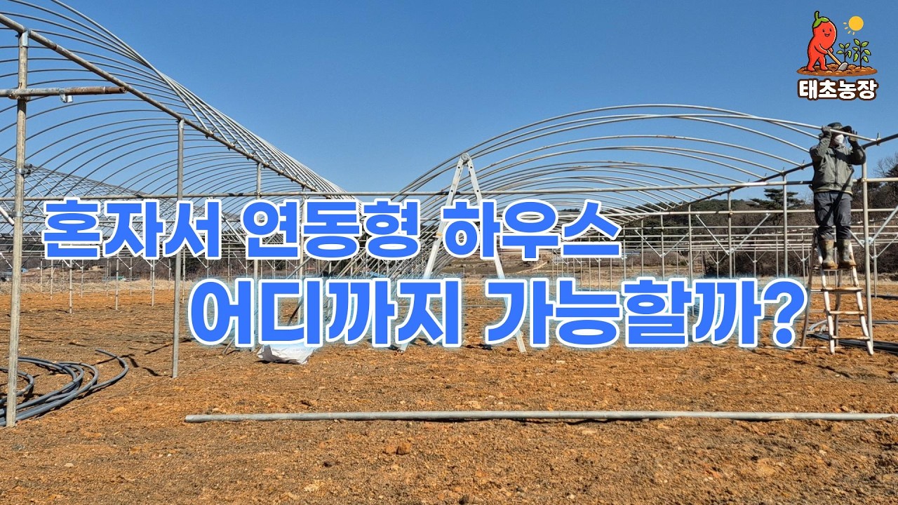 혼자서 연동형 하우스 아치 세우는 방법