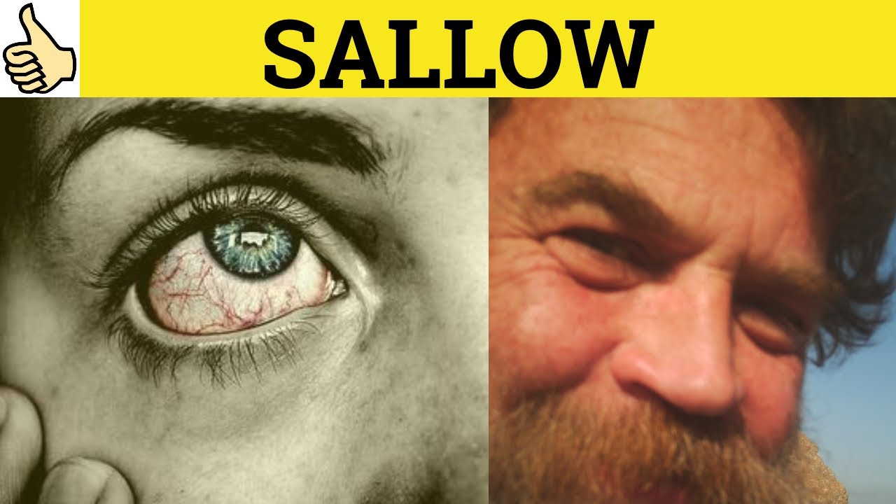 🔵 Sallow Means - Sallow Meaning - Sallow Examples - Sallow Defined - Sallow Definition