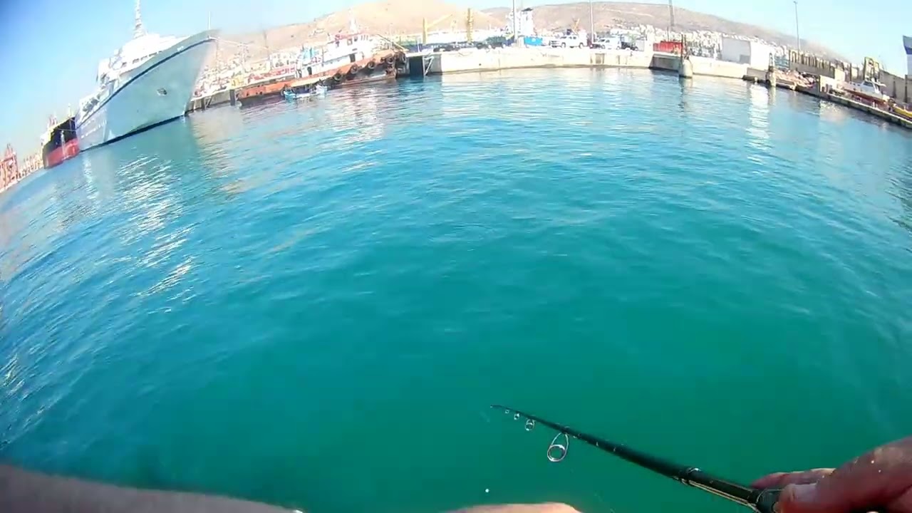 ψάρεμα σύρτης με μπομπάρδα & δόλωμα λωρίδα φιλετάκι από κεφαλόπουλο