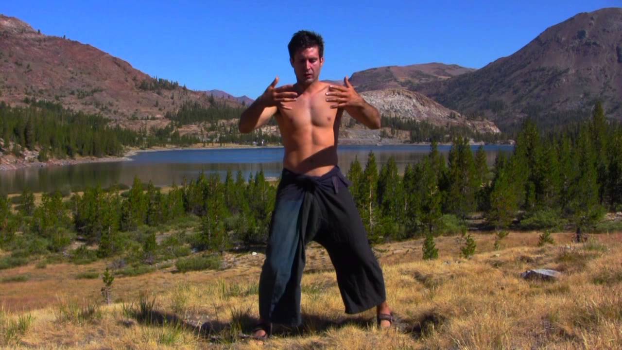 Iron Shirt Chi Kung: Embrace the Tree
