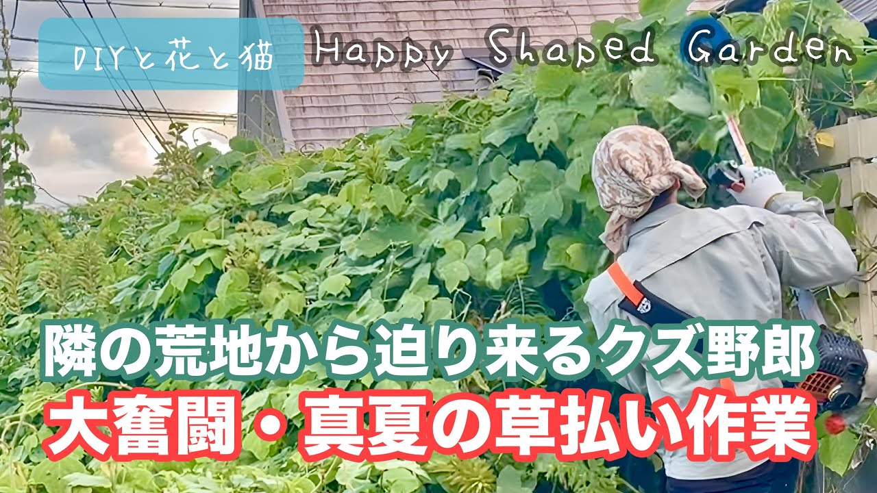 【雑草・草刈り】隣の荒地から迫り来るクズ！？大奮闘・ツル専用刃を使って真夏の草払い作業？【田舎暮らし・田舎問題・境界問題・田舎あるある・草刈り・草払い機・刈りまくる動画・園芸・ガーデニング】
