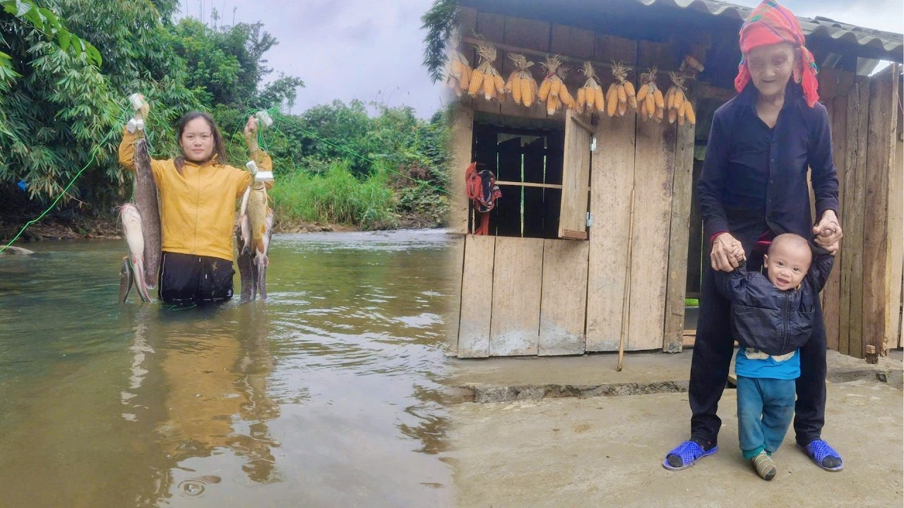 How to Catch Giant Fish in the Stream to Sell - Life After the New Year with My Blind Grandmother