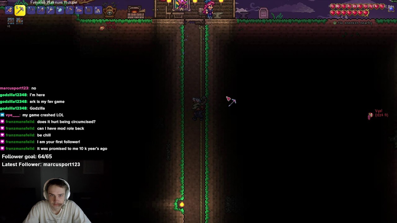 TERRARIA FIRST PLAYTHROUGH - Assistance required
