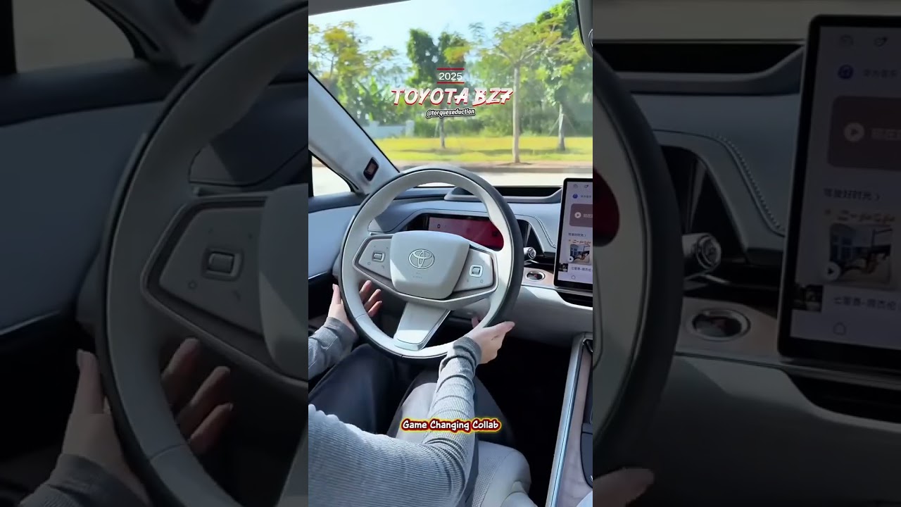 Toyota fabrica coches de lujo exclusivos para China a unos precios incre&iacute;blemente bajos