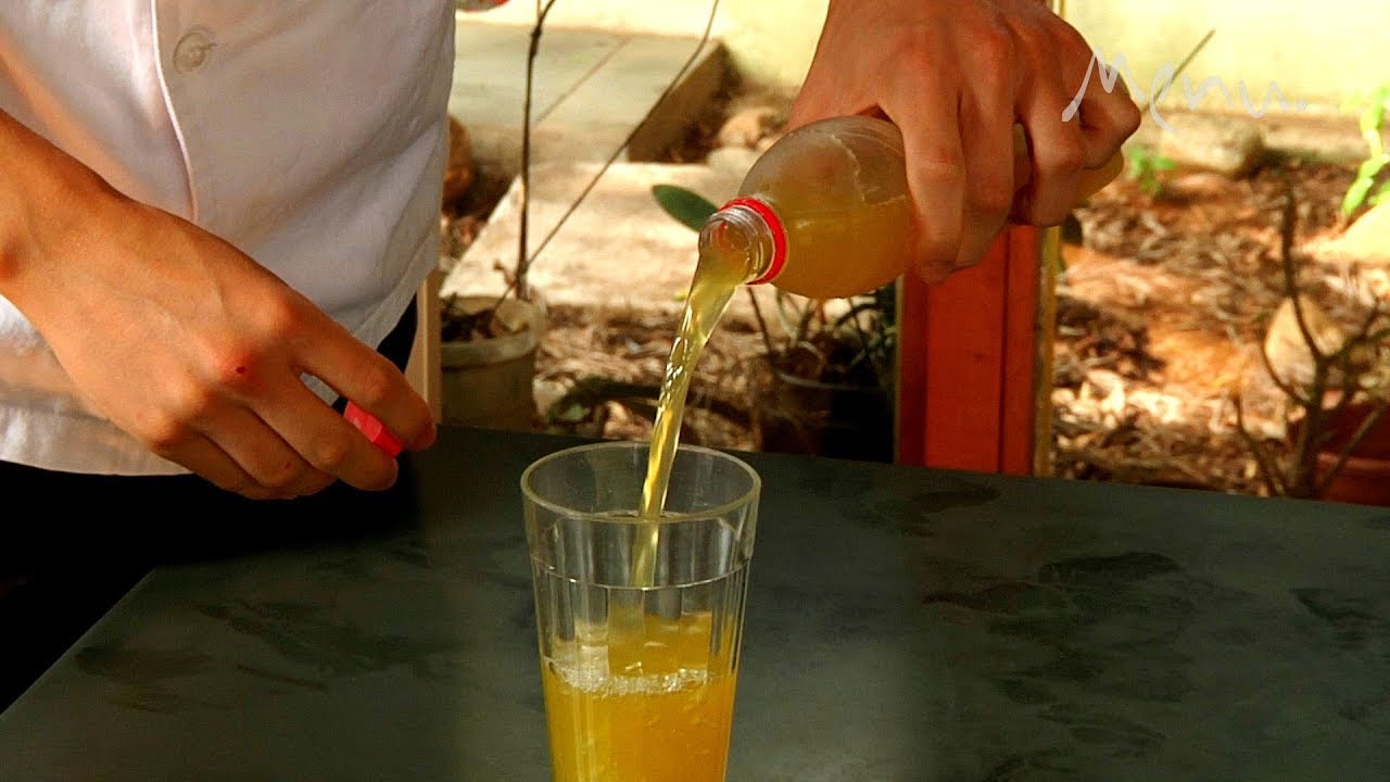 Revista Menu - aprenda a preparar o kombucha