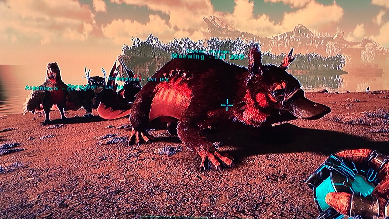 Taming a Maewing in ark