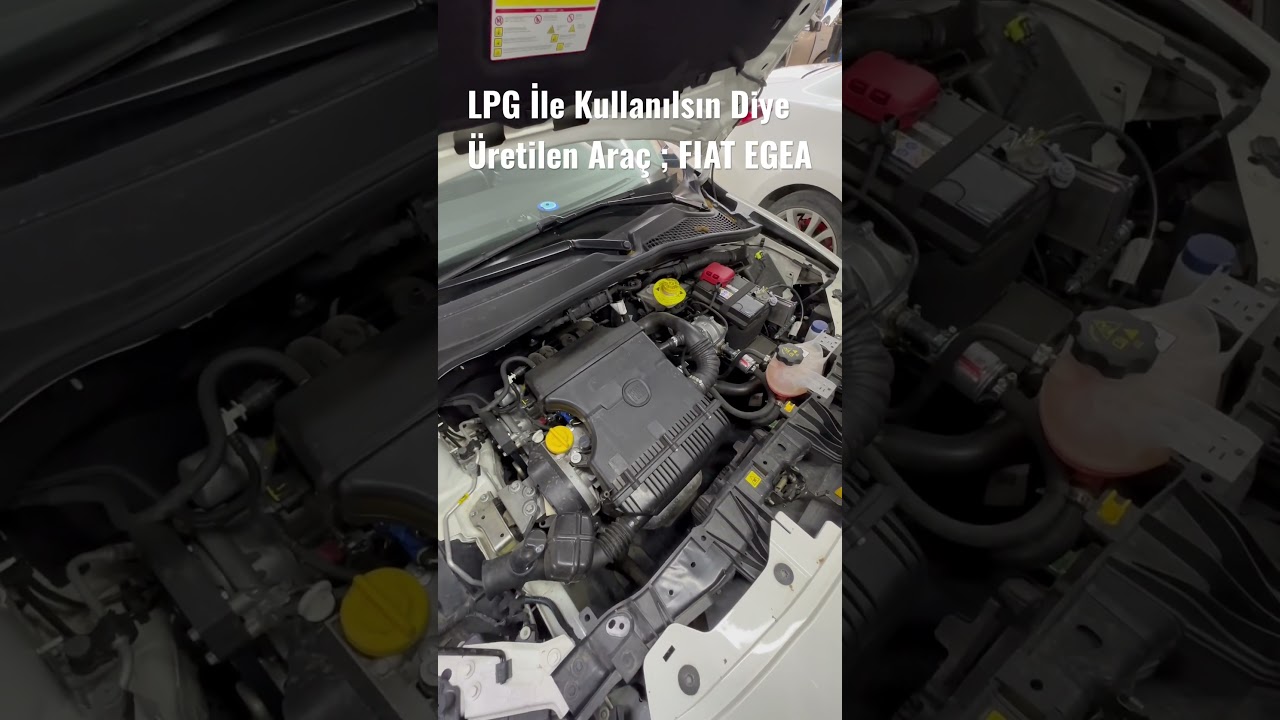 FIAT EGEA İ&ccedil;in Hangi LPG Sistemi Tavsiye Edilir                             #EGEA #fıat #otogaz #lpg
