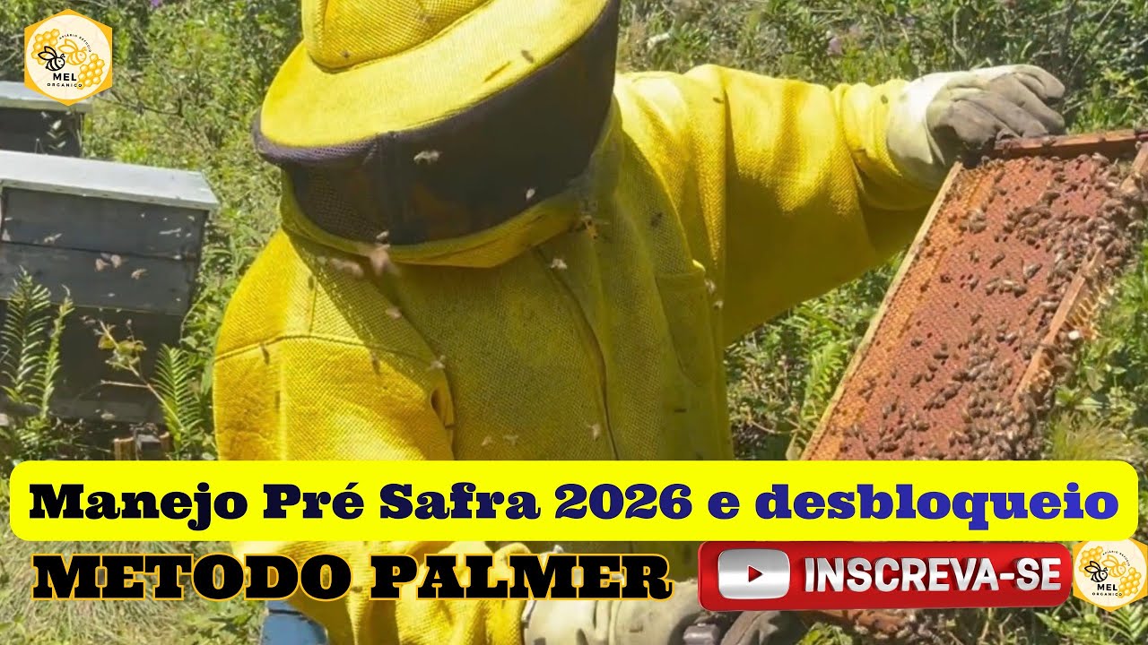 Método Pálmer no Brasil! 