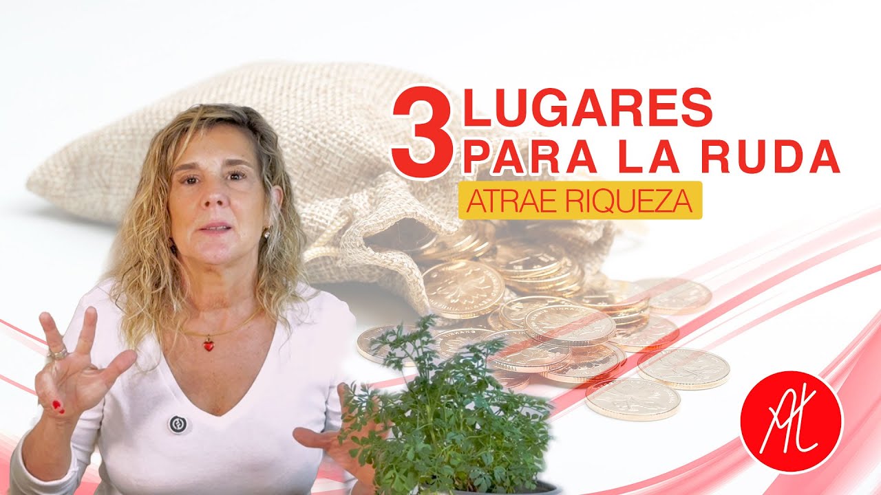 3 lugares donde la ruda atrae riqueza (y cómo activarla correctamente)
