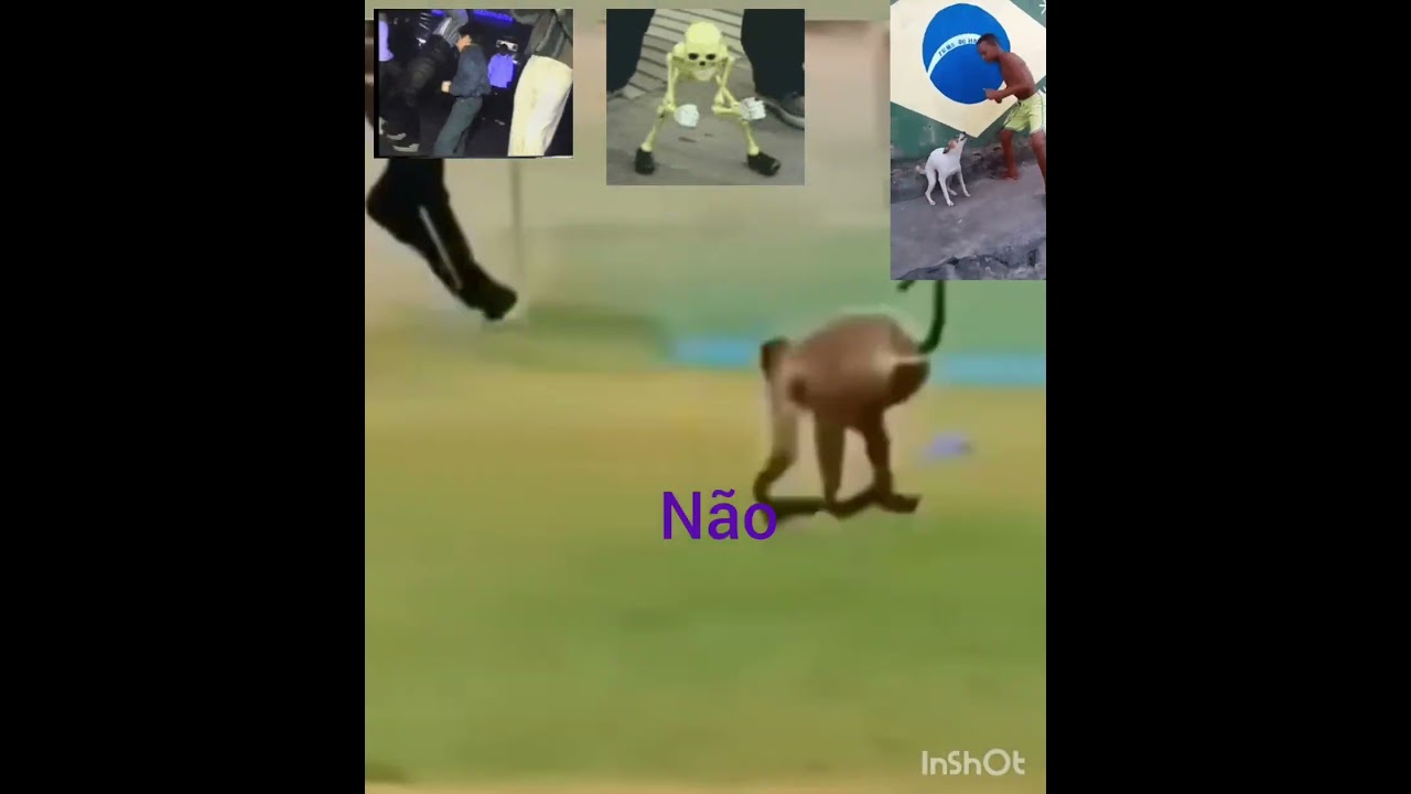 l&aacute; vem o homem macaco correndo atr&aacute;s de mim #meme #musica