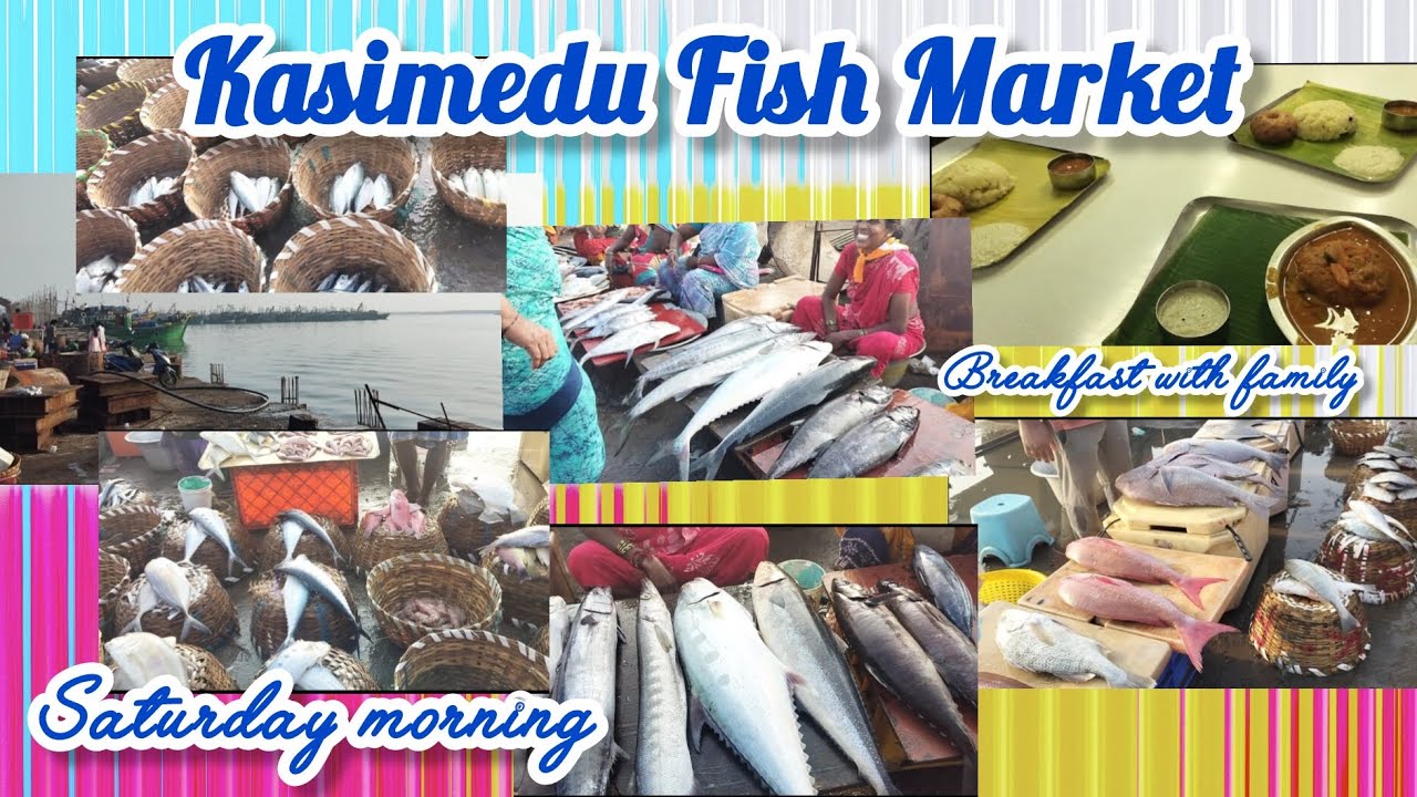 Kasimedu fish market| Saturday morning market 