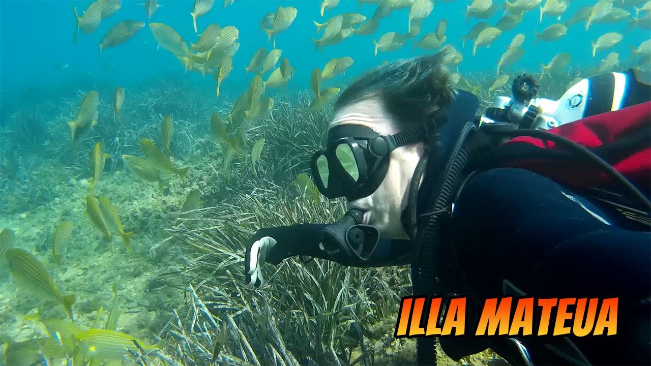L'Escala Solo Diving @ Illa Mateua