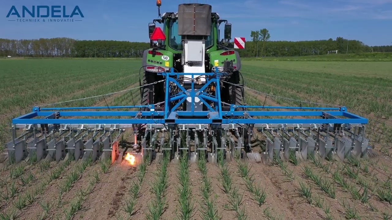 Andela Electro Weeder 2025 in onions