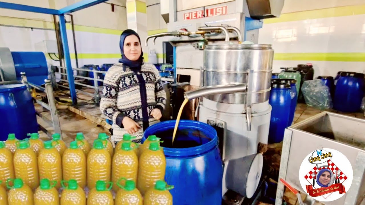 زيت زيتون البلدية 🌿 من شجرة لمعصرة مع تمن 💰صدمة ..😲