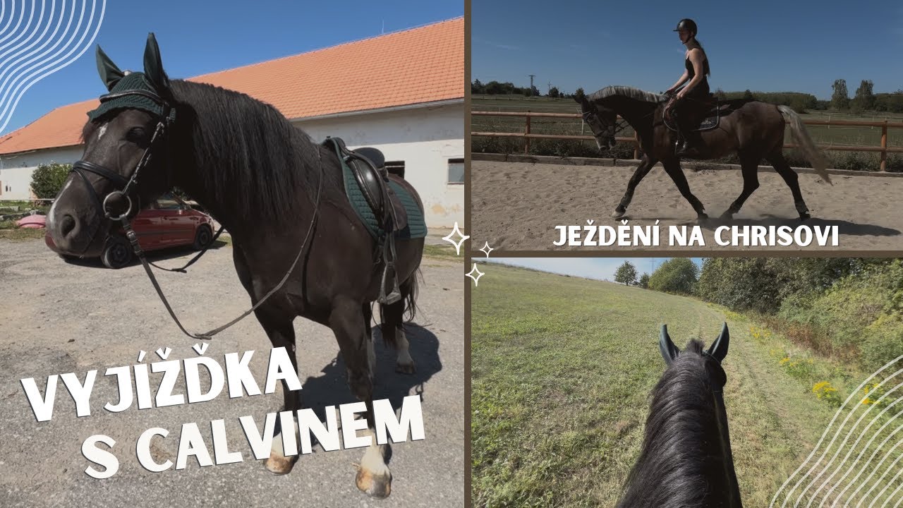 Vlog // Vyjádření ohledně prodeje Chrise, zatím nejdelší vyjížďka s Calvinem