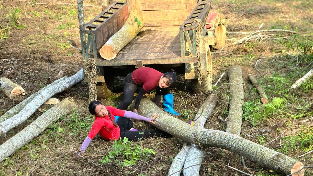 Agricultural vehicles: Dangerous situations when transporting wood 😱#wood #agricultural #chainsaw 