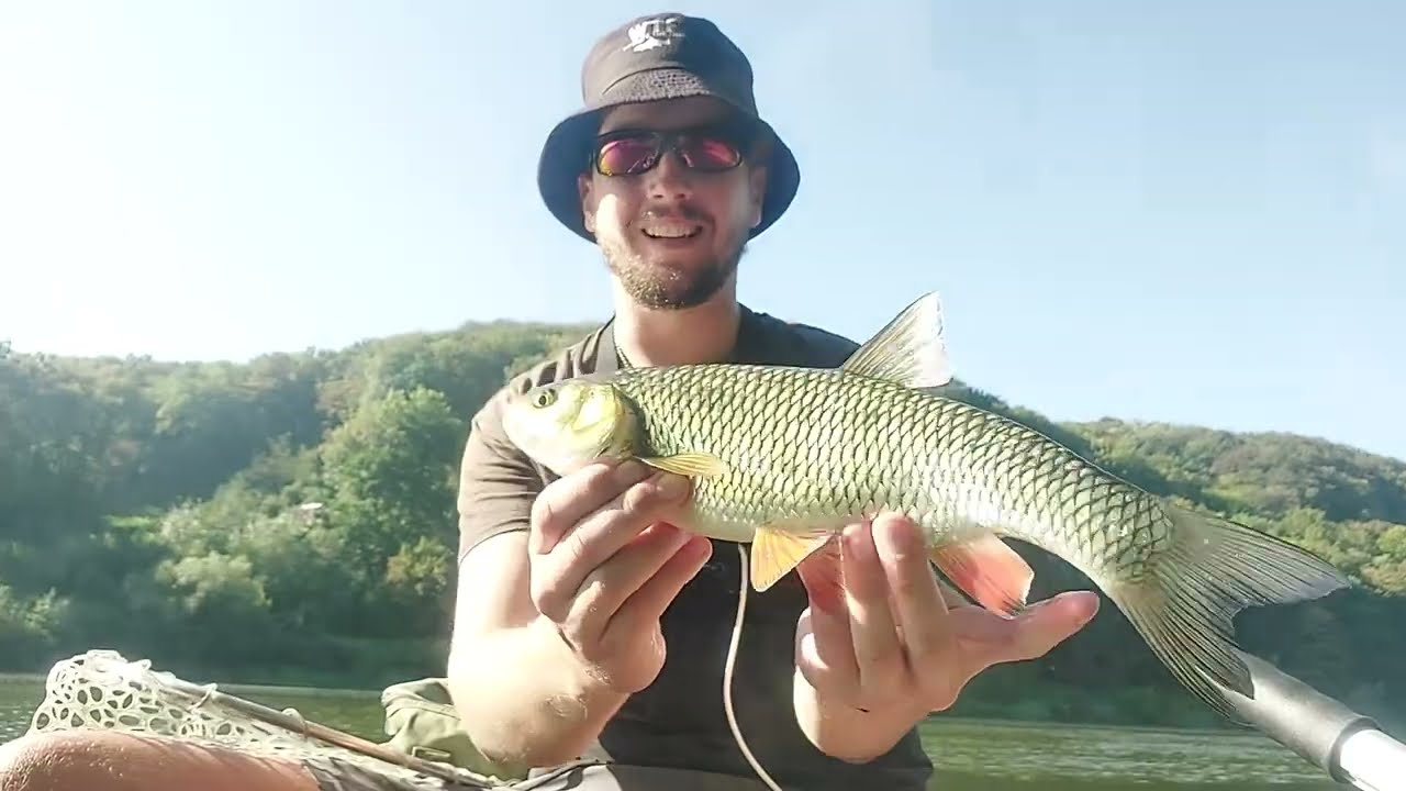 Дністер! Сплав! Я ше такого не бачив! 85шт за рибалку. Жор хижака на Дністрі.Спінінг,Головень,Жерех!