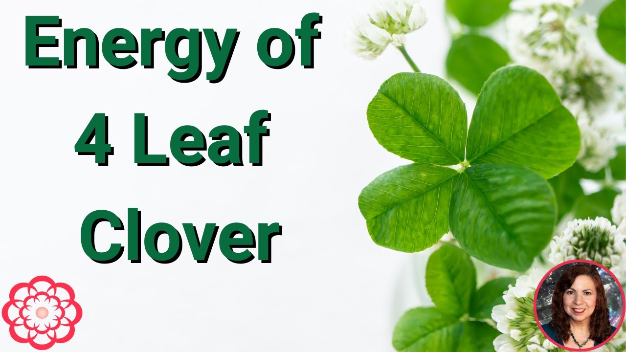 Energy of a 4 Leaf Clover ⭐