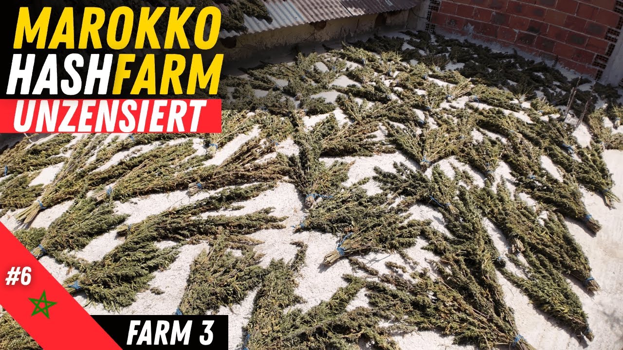 Farm Zwei in Ketama &ndash; Unterwegs im Rif-Gebirge von Marokko