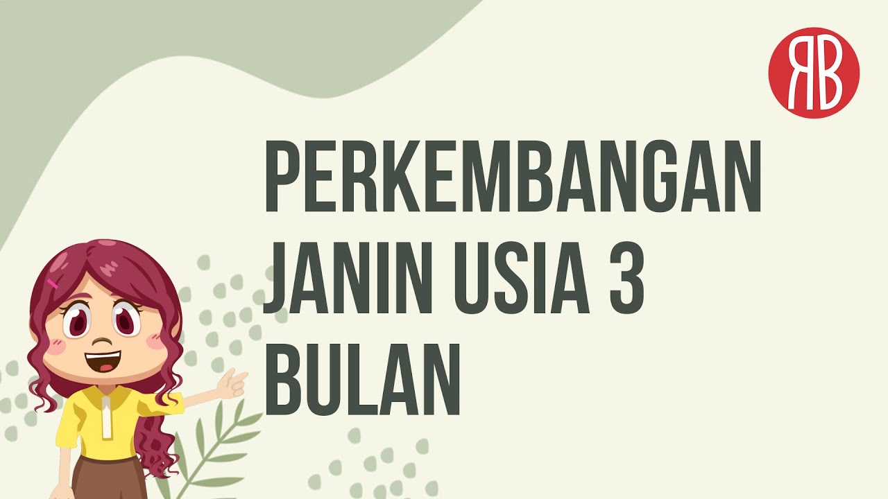 Perkembangan Janin di Kehamilan Usia 3 Bulan