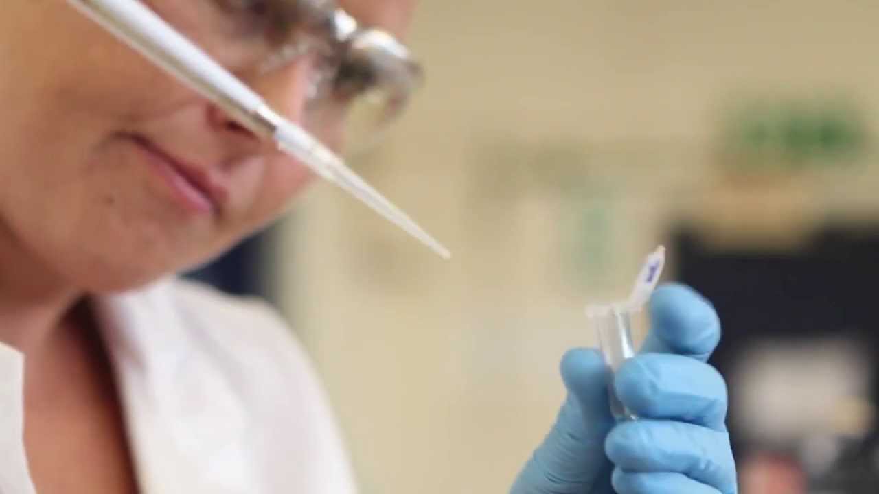 Meet a CSIR geneticist who specialises in stem cell research