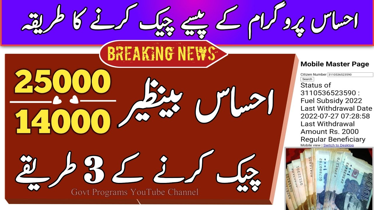 Ehsaas Program Ky Paisy Check Karny Ka Tarika | 8171 | 14000 Check Online | Payment Check 14000 8171