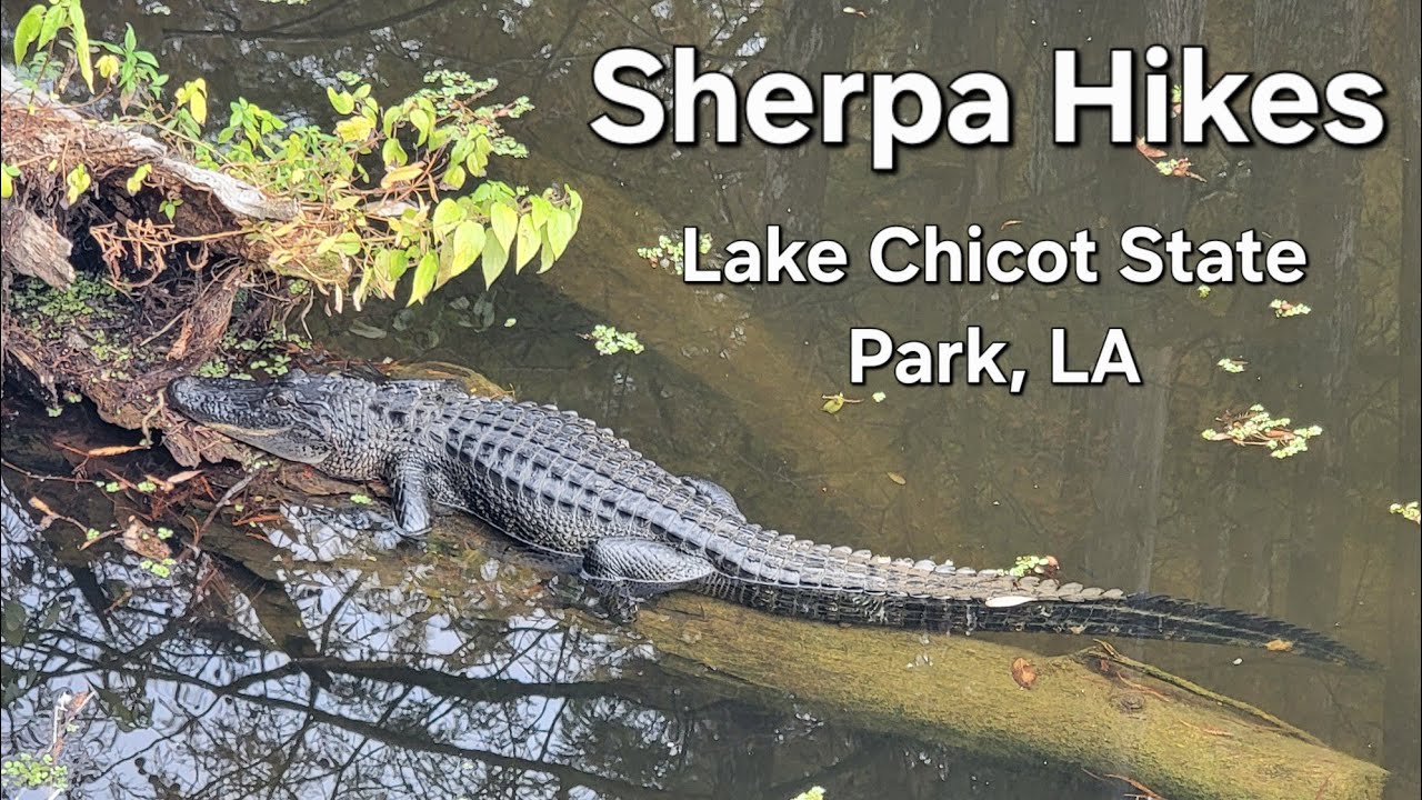 Lake Chicot State Park: A Single Day, 32K