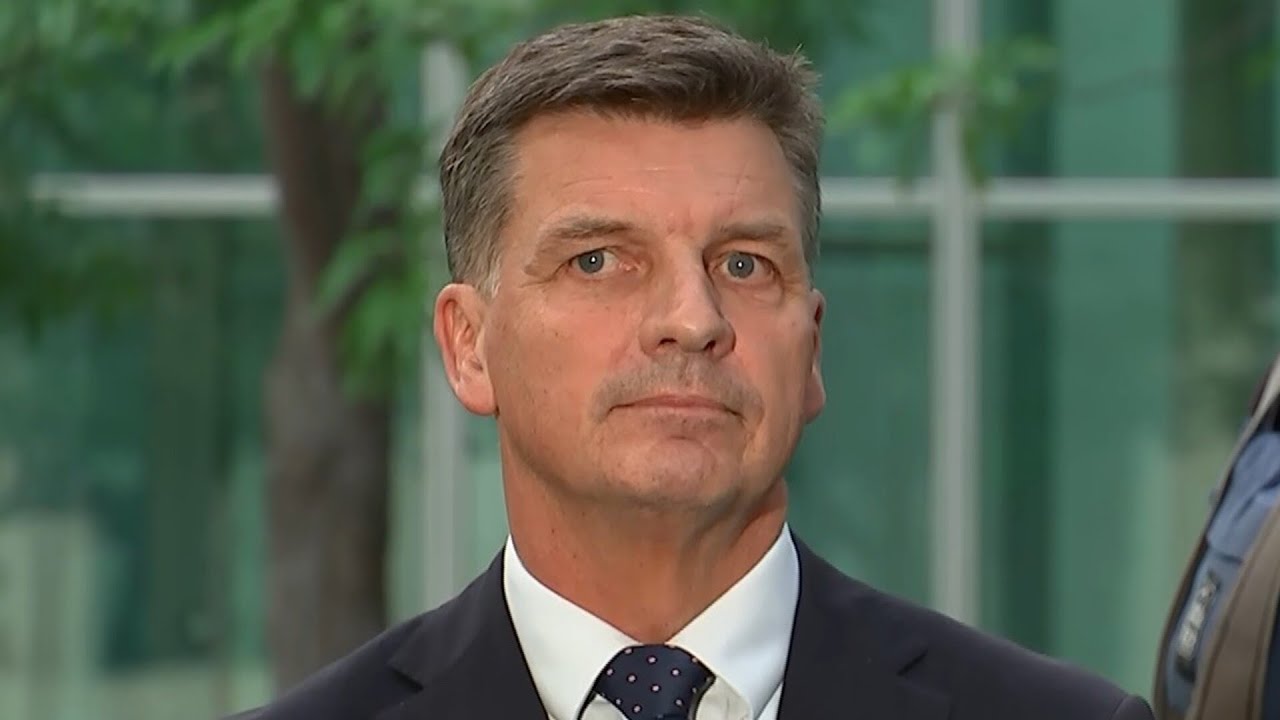 ‘We have failed’: Angus Taylor quits the Liberal Party frontbench after meeting with Ley