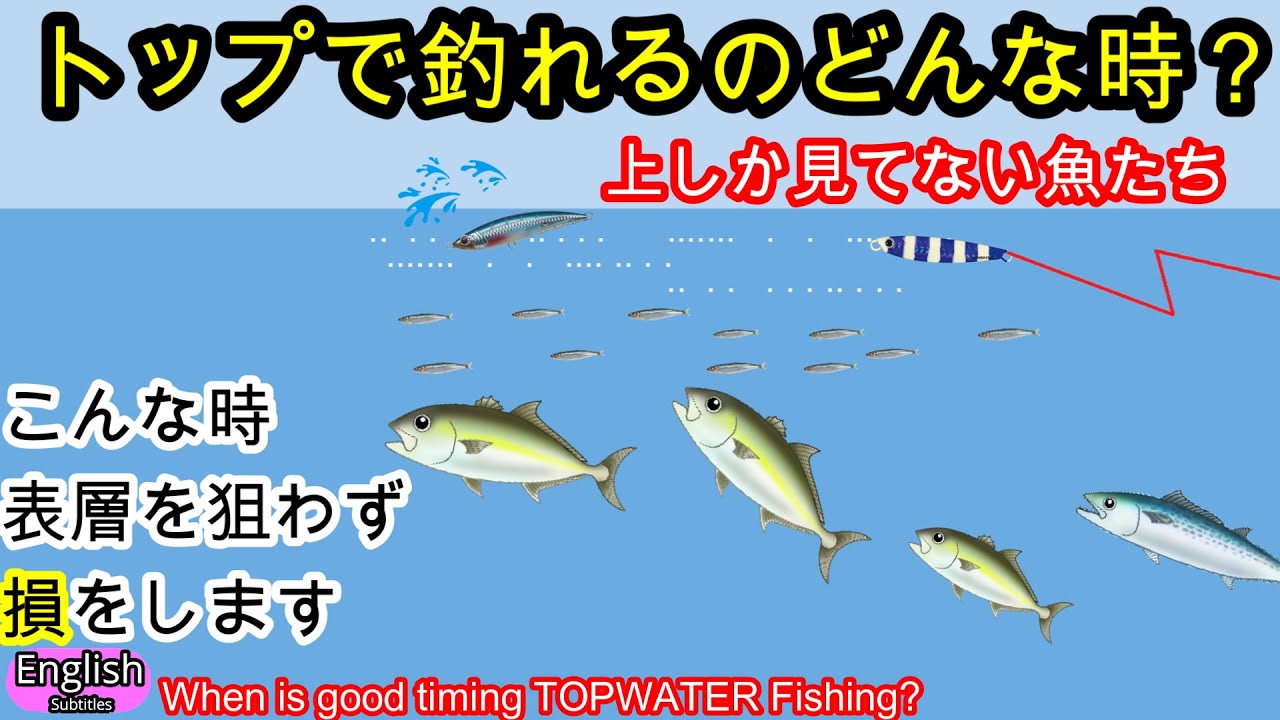 トップで釣れるタイミング5選【ショアジギング】トップウォータールアーと釣り方9選