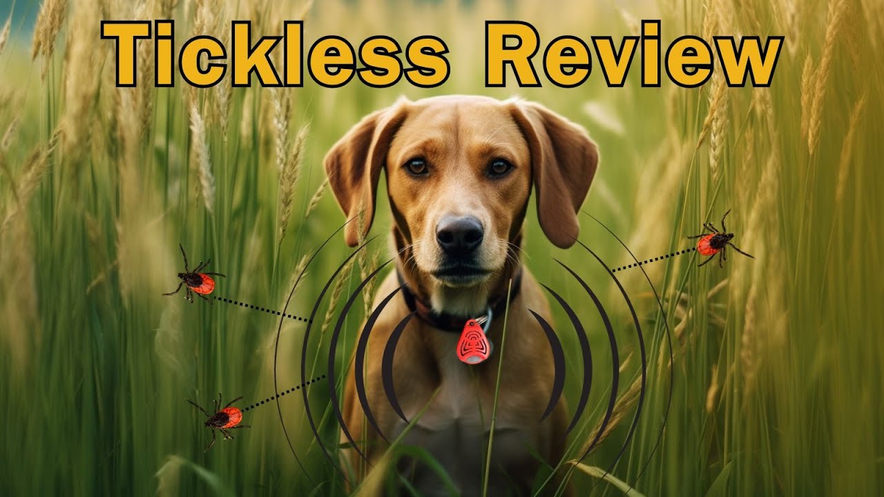 Tickless: The Ultimate Flea & Tick Solution? Our In-Depth Review & Real Results